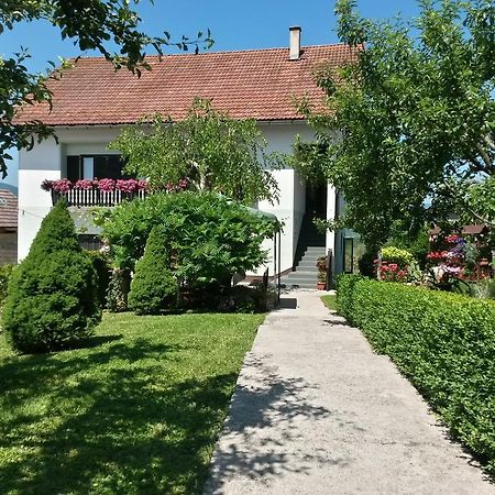 Guesthouse Pavlicic 드레즈니크그라드 외부 사진