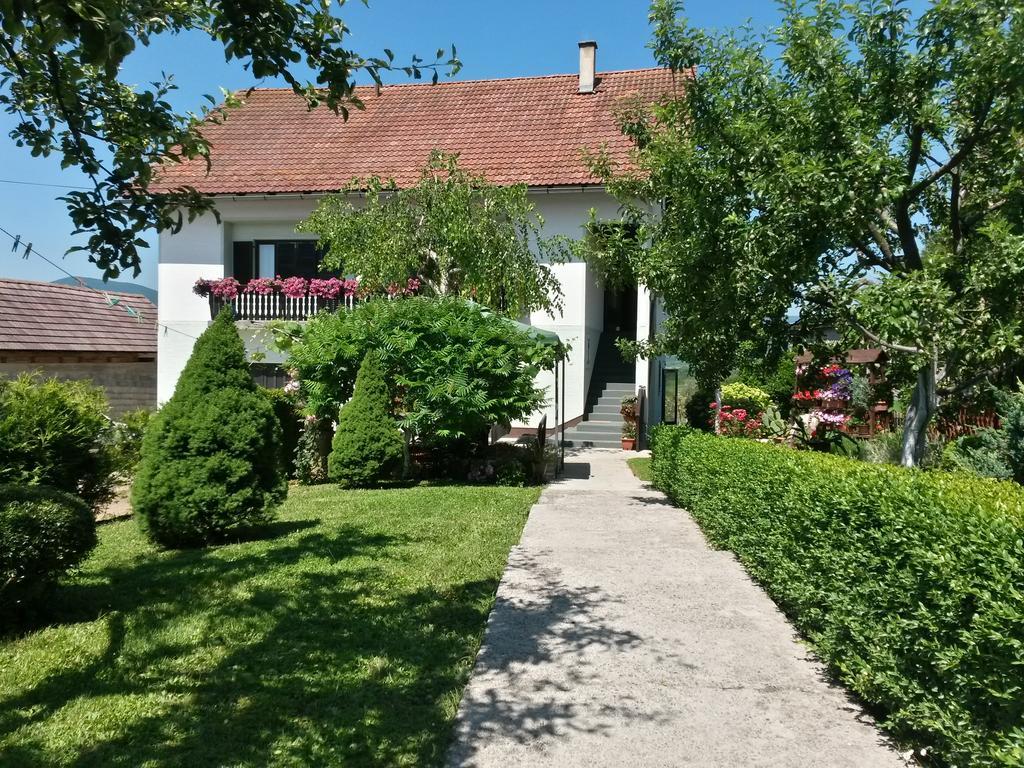 Guesthouse Pavlicic 드레즈니크그라드 외부 사진