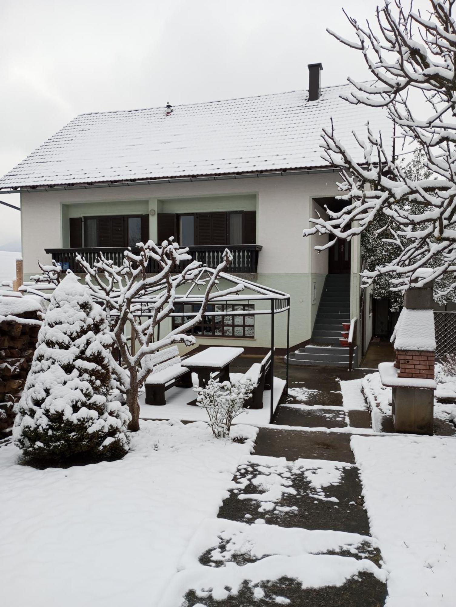 Guesthouse Pavlicic 드레즈니크그라드 외부 사진