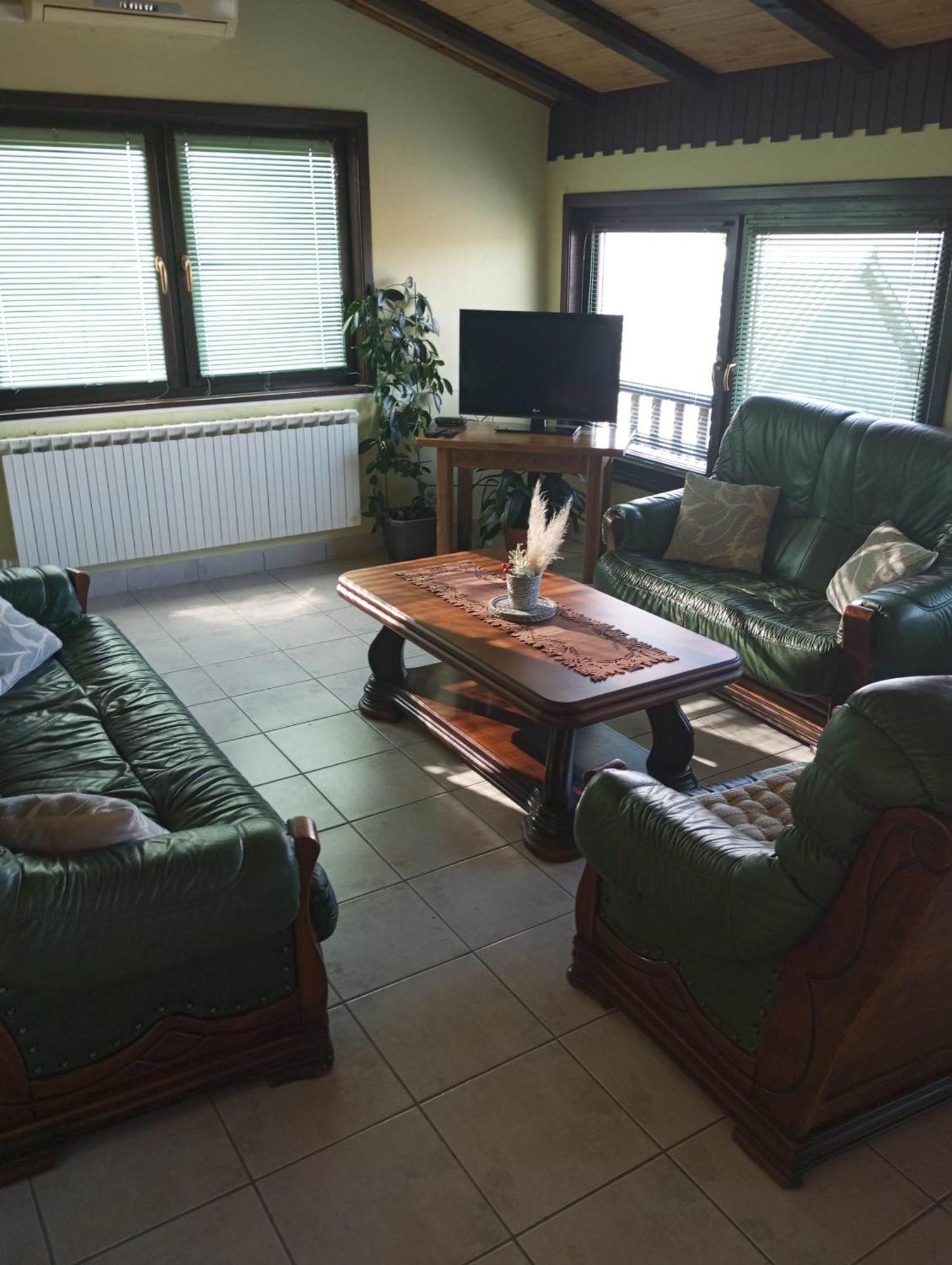 Guesthouse Pavlicic 드레즈니크그라드 외부 사진