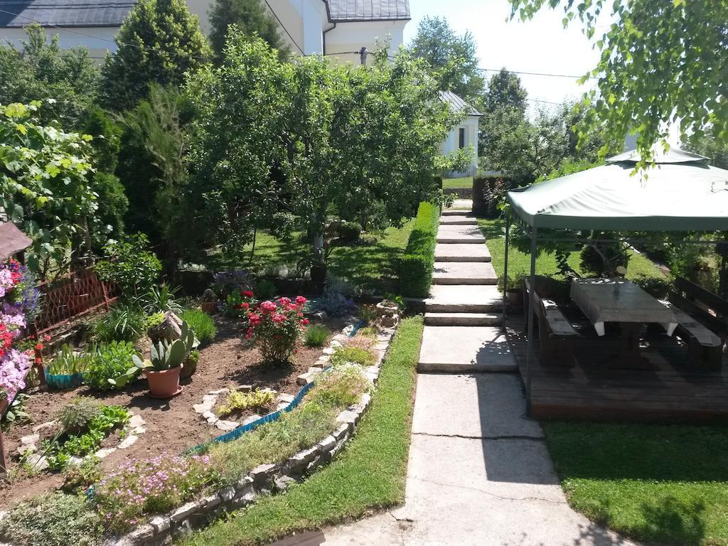 Guesthouse Pavlicic 드레즈니크그라드 외부 사진
