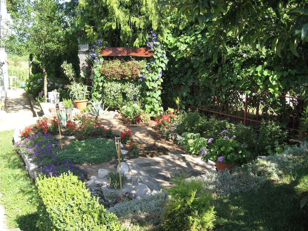 Guesthouse Pavlicic 드레즈니크그라드 외부 사진