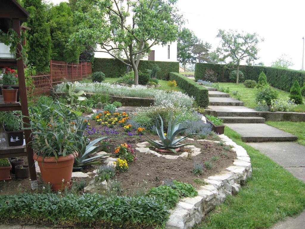 Guesthouse Pavlicic 드레즈니크그라드 외부 사진