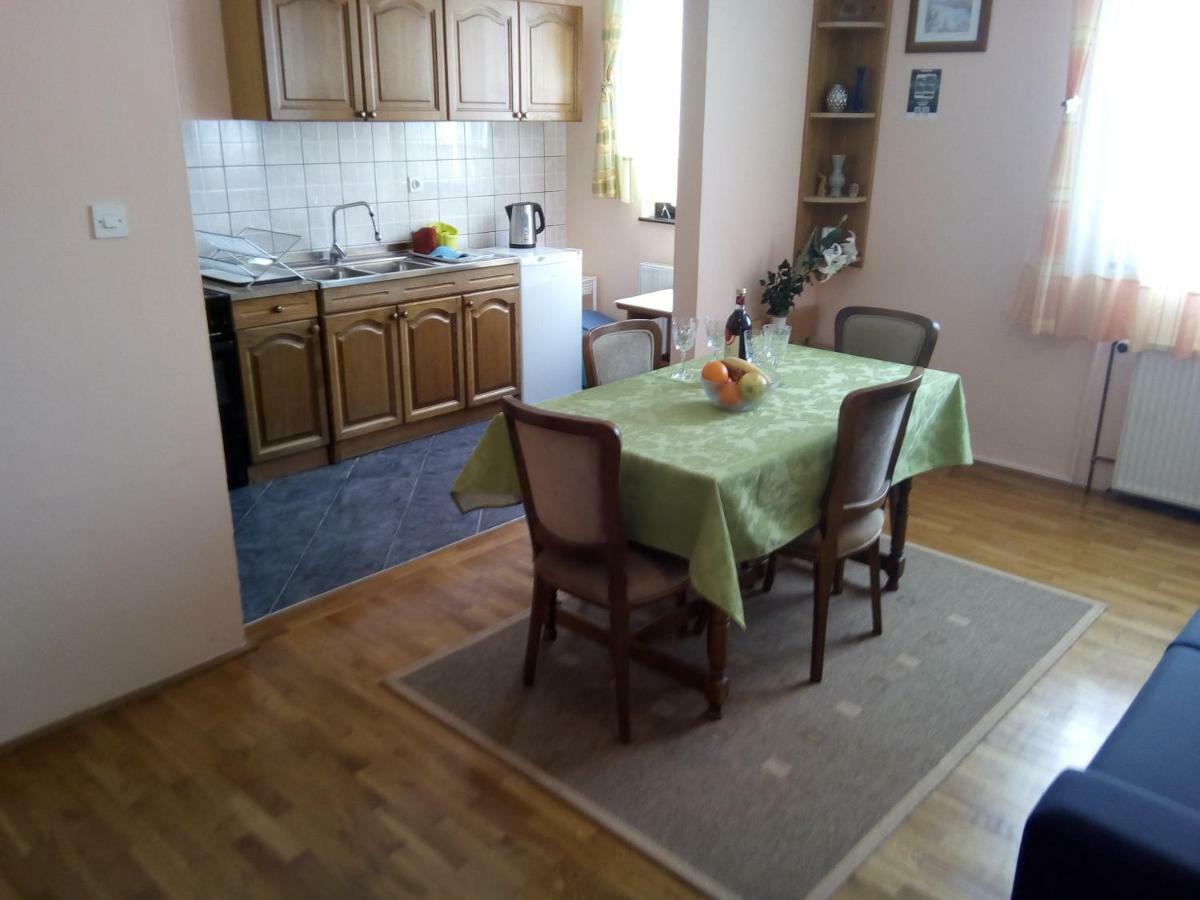 Guesthouse Pavlicic 드레즈니크그라드 외부 사진