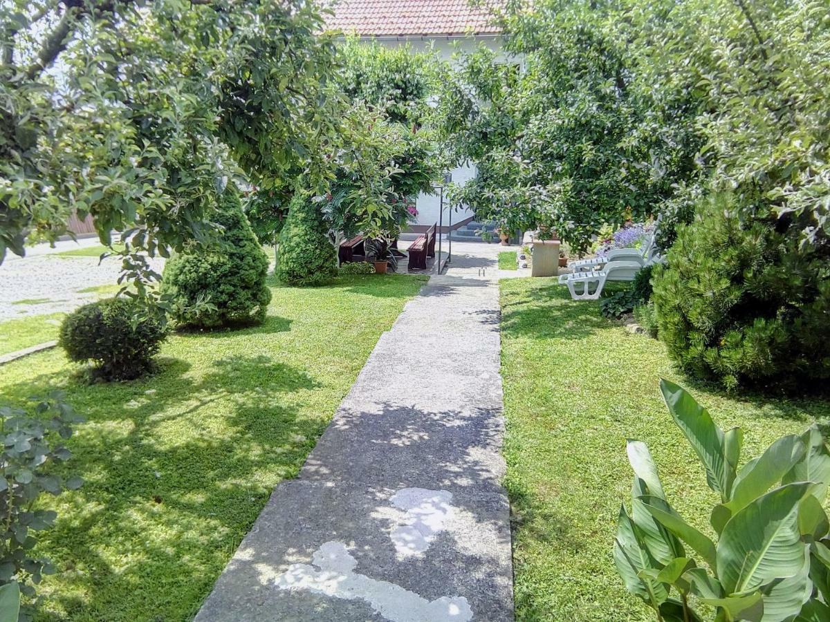 Guesthouse Pavlicic 드레즈니크그라드 외부 사진
