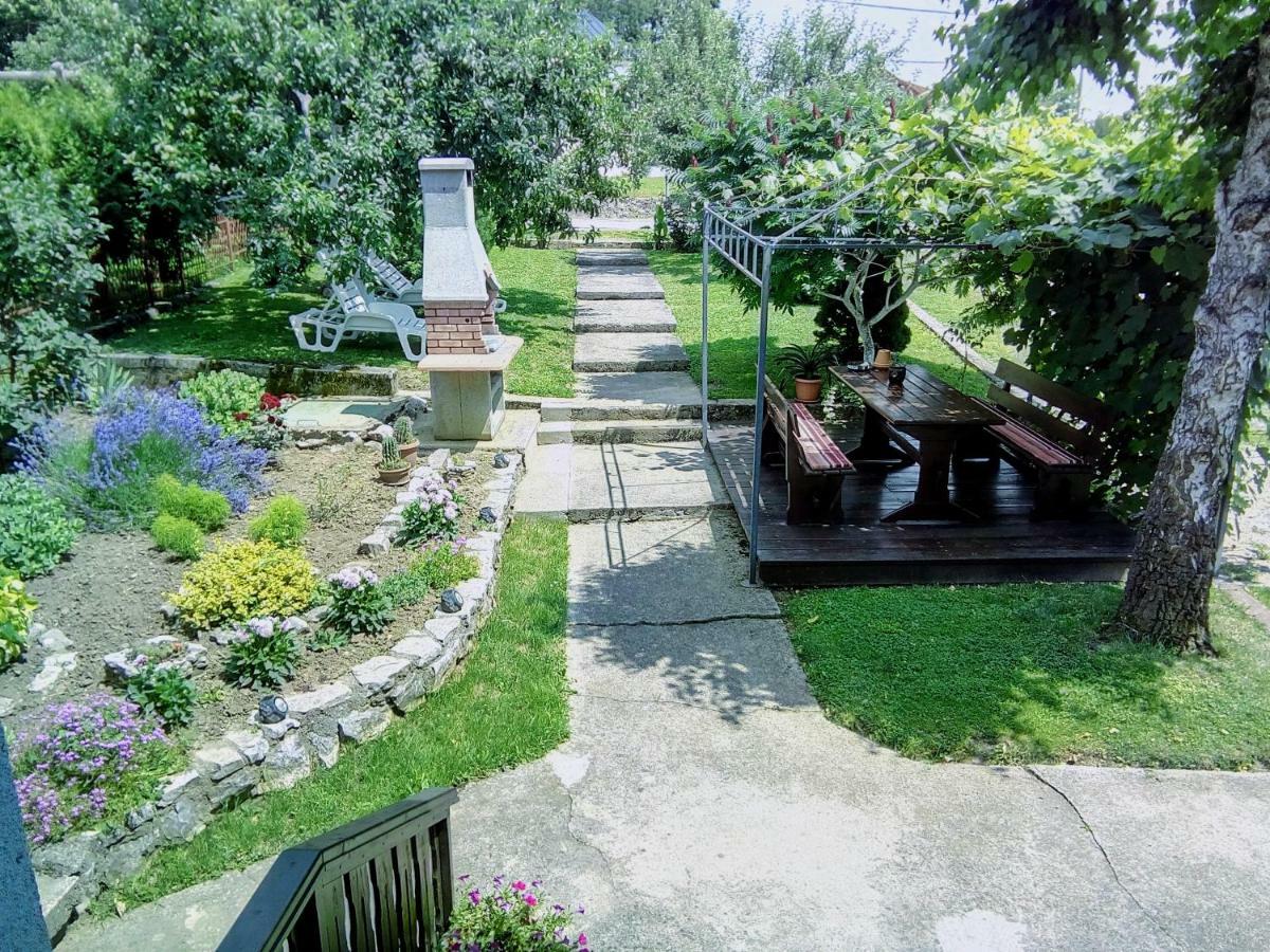 Guesthouse Pavlicic 드레즈니크그라드 외부 사진