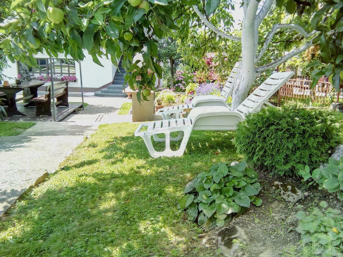 Guesthouse Pavlicic 드레즈니크그라드 외부 사진