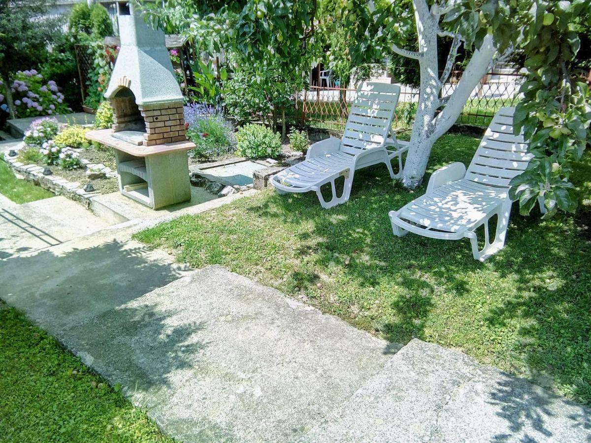 Guesthouse Pavlicic 드레즈니크그라드 외부 사진
