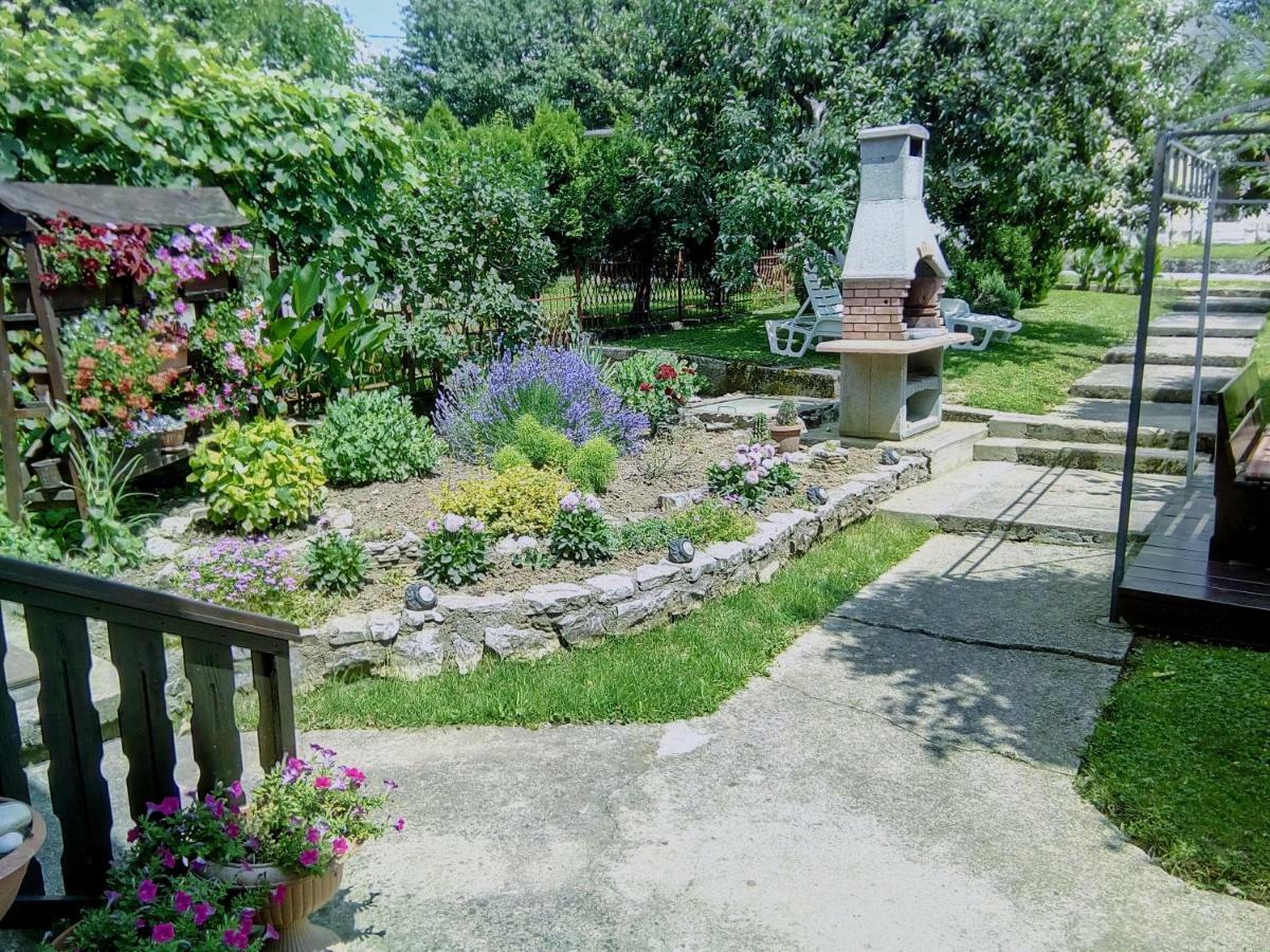 Guesthouse Pavlicic 드레즈니크그라드 외부 사진