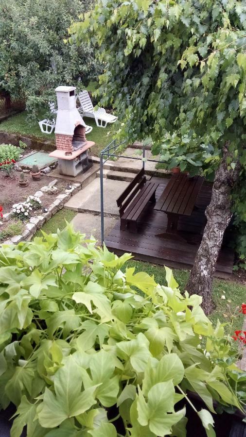 Guesthouse Pavlicic 드레즈니크그라드 외부 사진