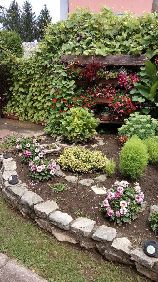 Guesthouse Pavlicic 드레즈니크그라드 외부 사진