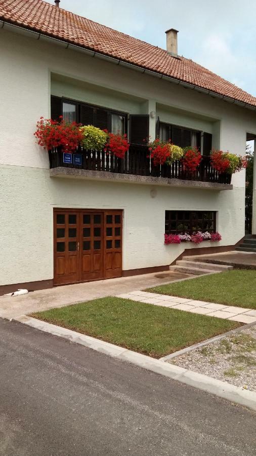 Guesthouse Pavlicic 드레즈니크그라드 외부 사진