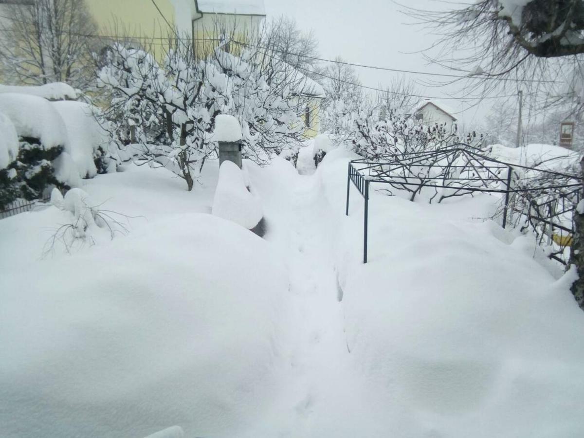 Guesthouse Pavlicic 드레즈니크그라드 외부 사진